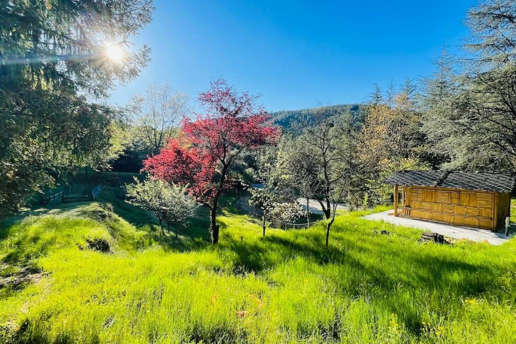 Gite Des 3 Vallees - Le Soleil Des Cevennes Apartamento Saint-Jean-du-Gard Exterior foto