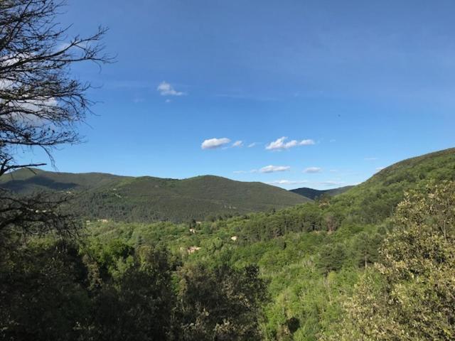 Gite Des 3 Vallees - Le Soleil Des Cevennes Apartamento Saint-Jean-du-Gard Exterior foto